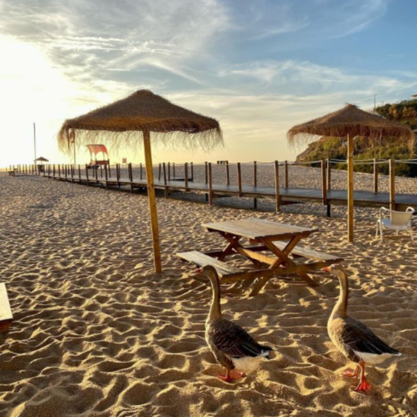 Ribeira Bar São Lourenço