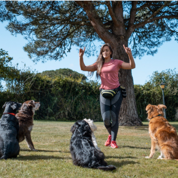 Thalita Dog Training and Behaviour Consulting