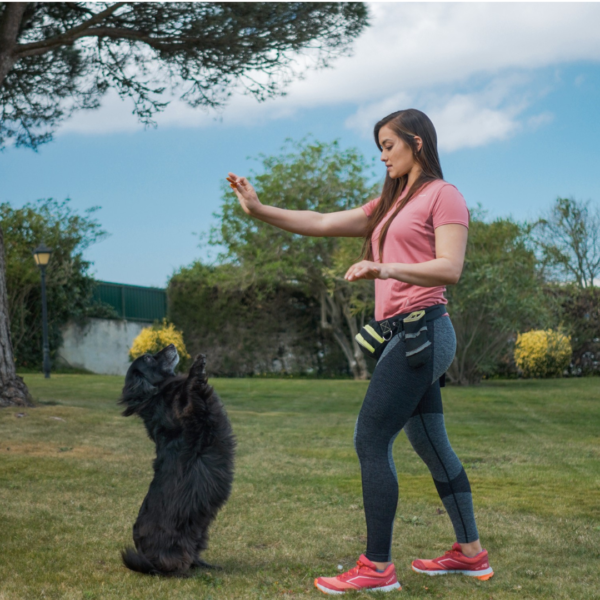 Thalita Dog Training and Behaviour Consulting