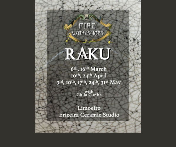 Workshop de Raku