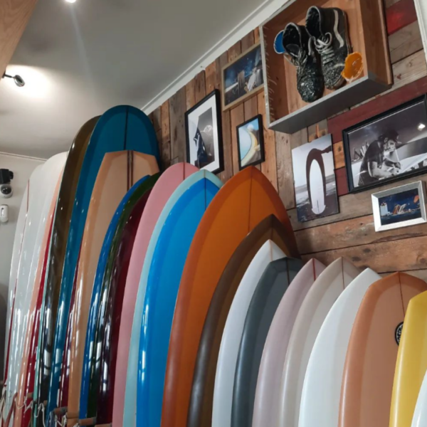 WAVEGLIDERS - House Of Classic Surf Culture