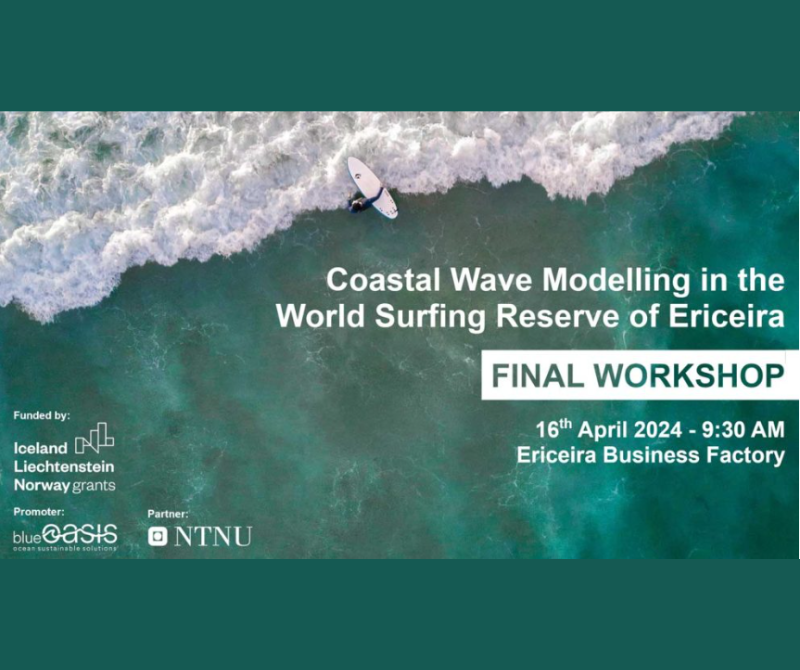 Modelação da Ondulação Costeira na Reserva Mundial de Surf da Ericeira🌊