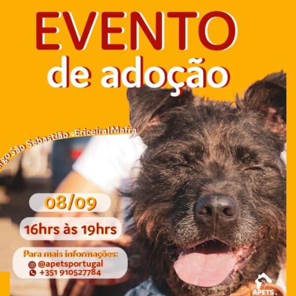 Evento de Adoção – APETS🐾