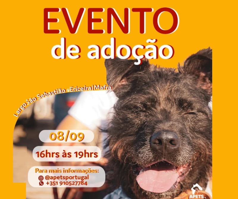 Evento de Adoção – APETS🐾