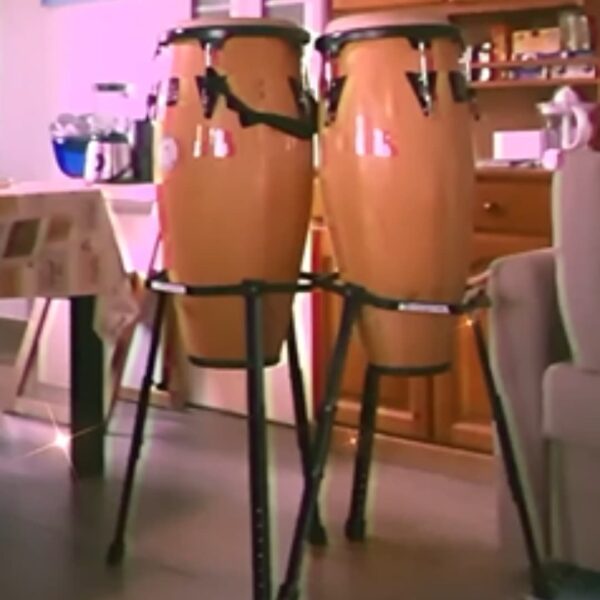 Wild Samba Ericeira